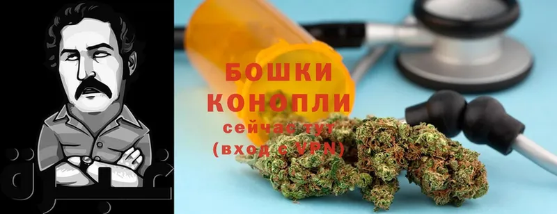 Бошки марихуана Bruce Banner  Лихославль 